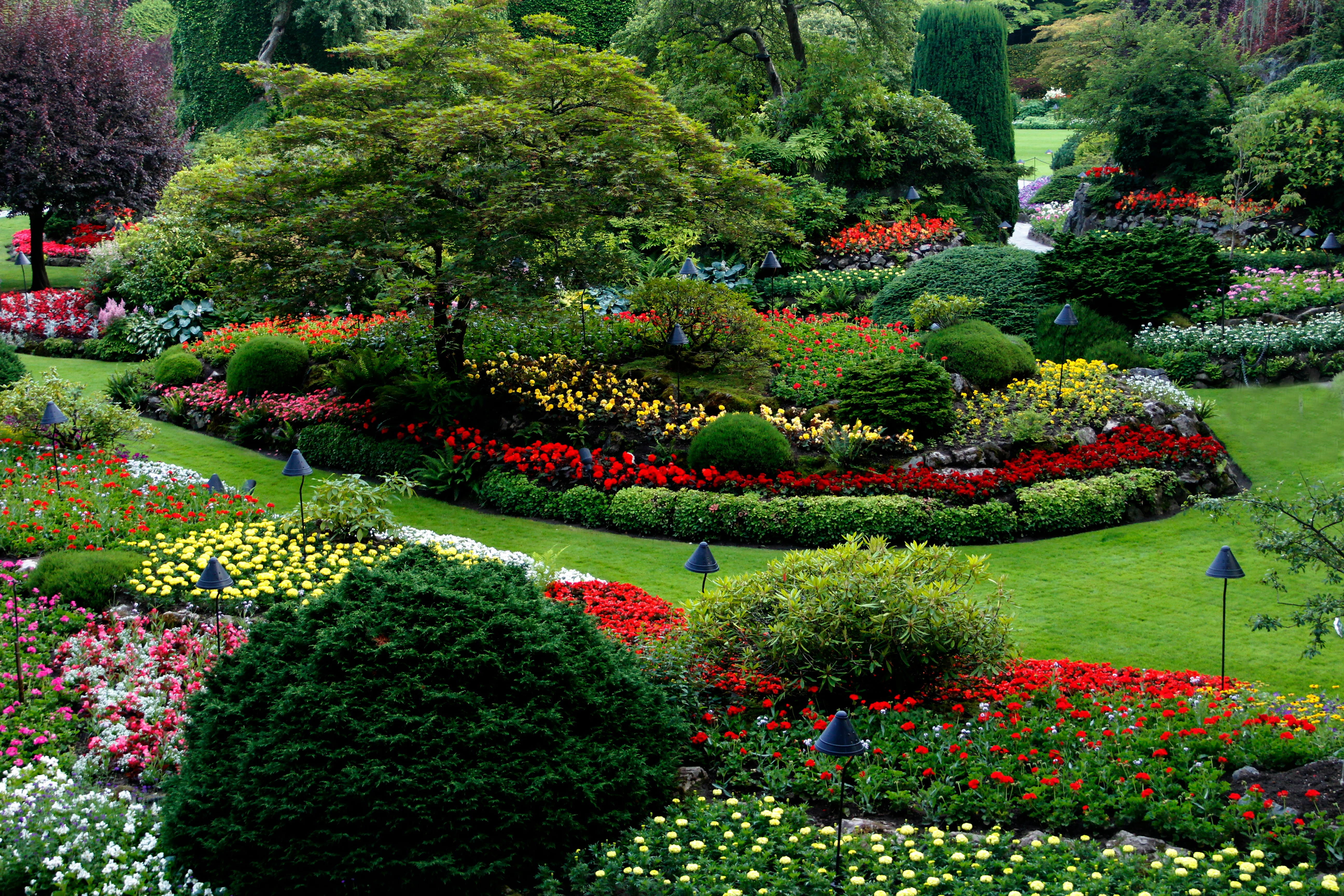 Gartenarbeit bei Krause Galabau